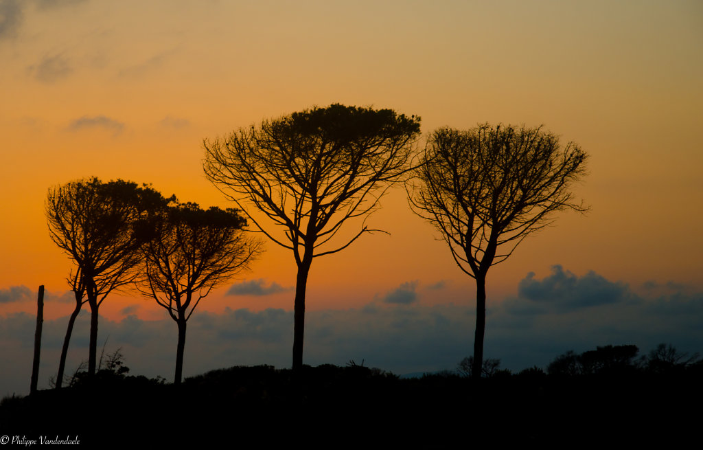 Fin-de-journee-sur-Marina-di-Alberese-Toscane-Italie.jpg